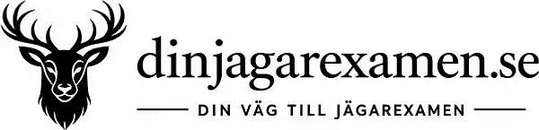 Dinjägarexamen cashback